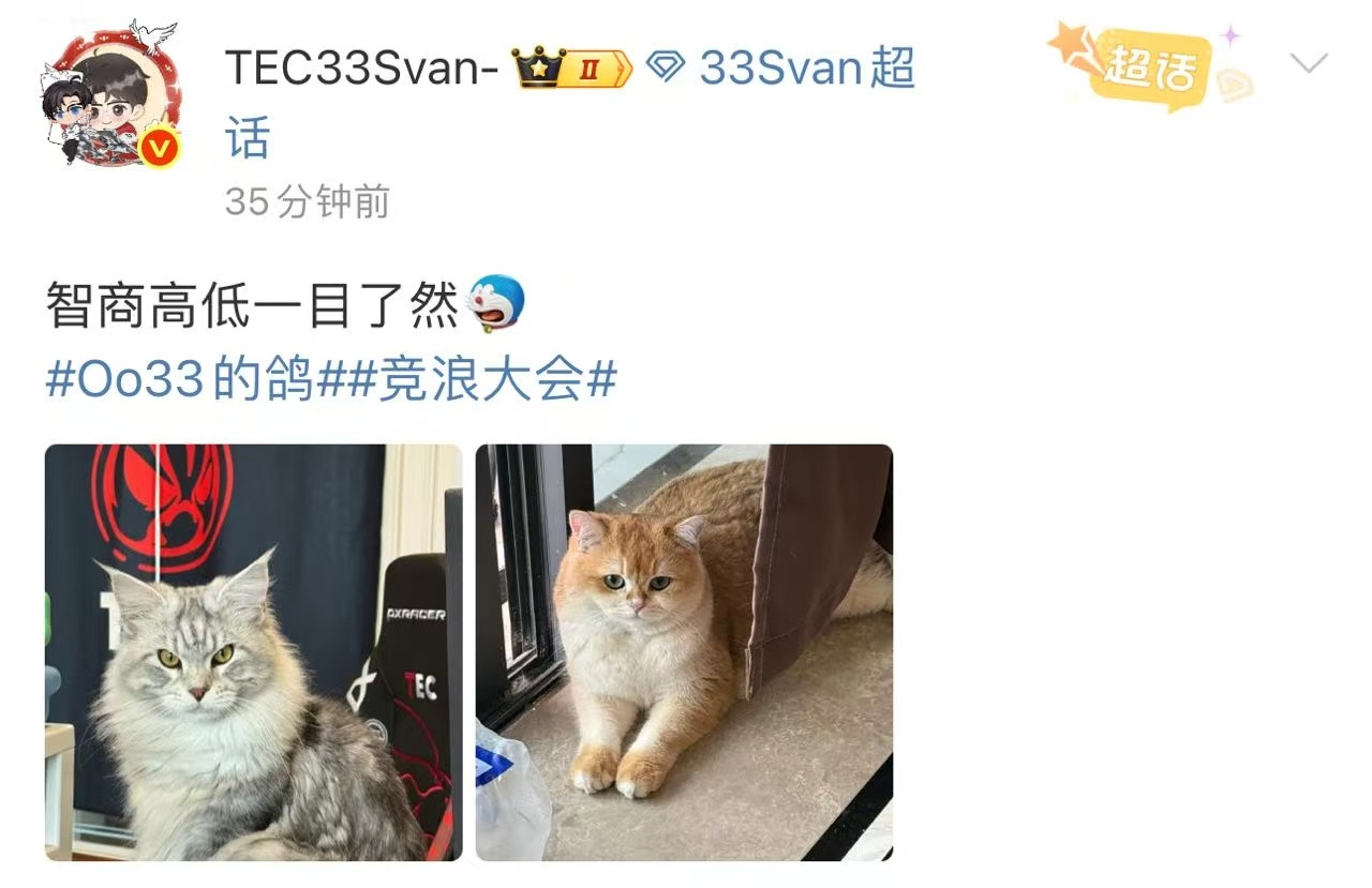 33以貌取猫不应该是“我”的猫像“我”吗，以后33要多多喂猫啦！