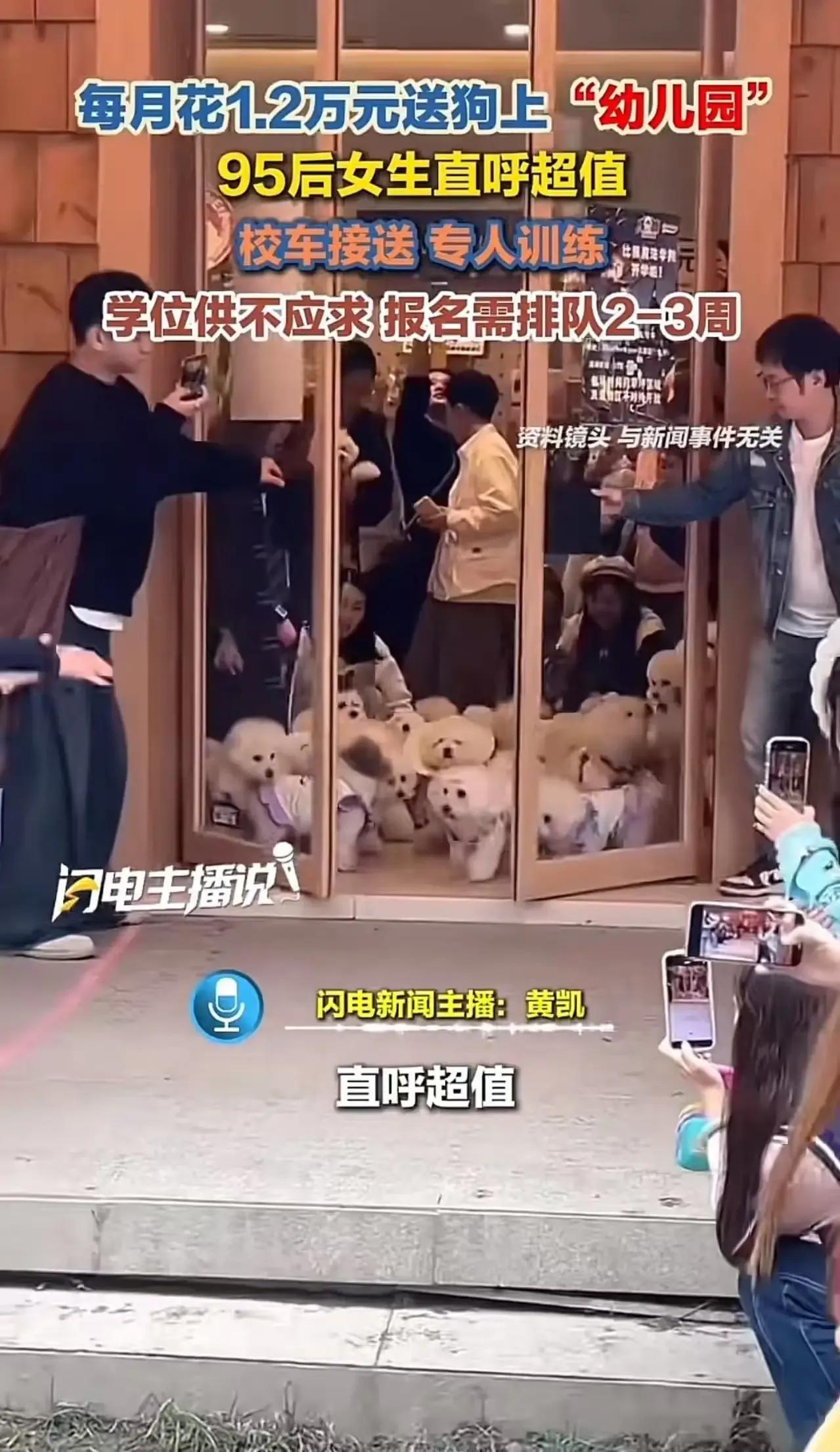 人不如狗系列又更新了！上海一位95后女生，每月花1.2万送狗上“贵族幼儿园”，还