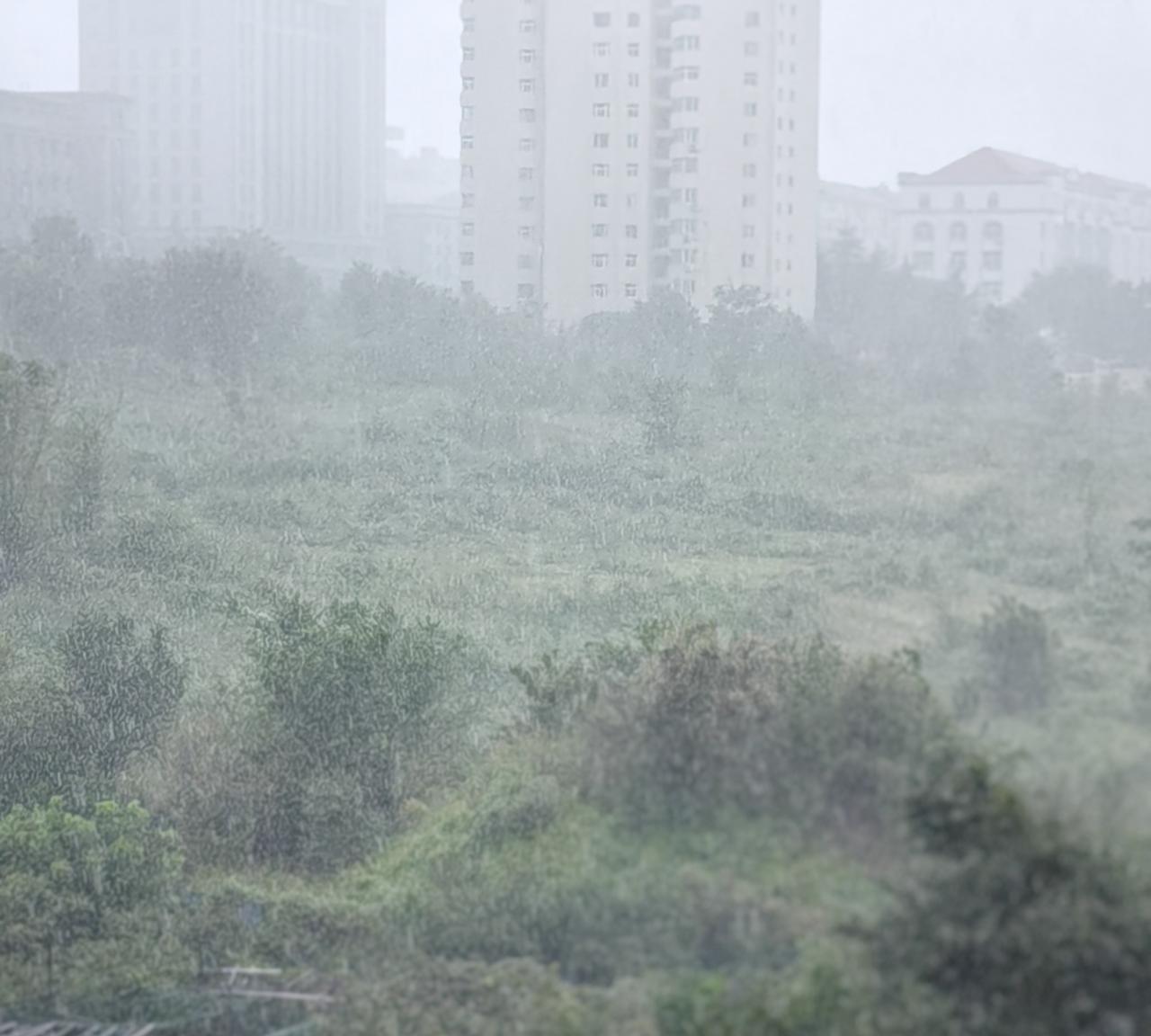 又是突降大雨，又是预报中的“小雨”突变大雨！凭窗遥望近看，摄入镜头中的是雨点密