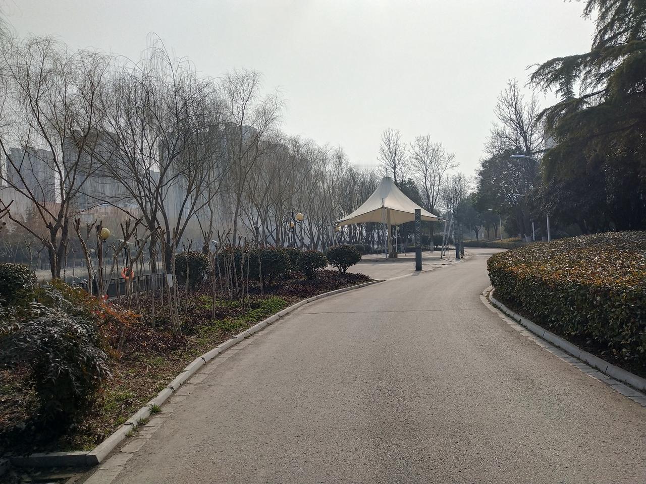 这是很多老师都有的症。放假兴奋症，开学焦虑症。快放假了，还有两个星期的时候，