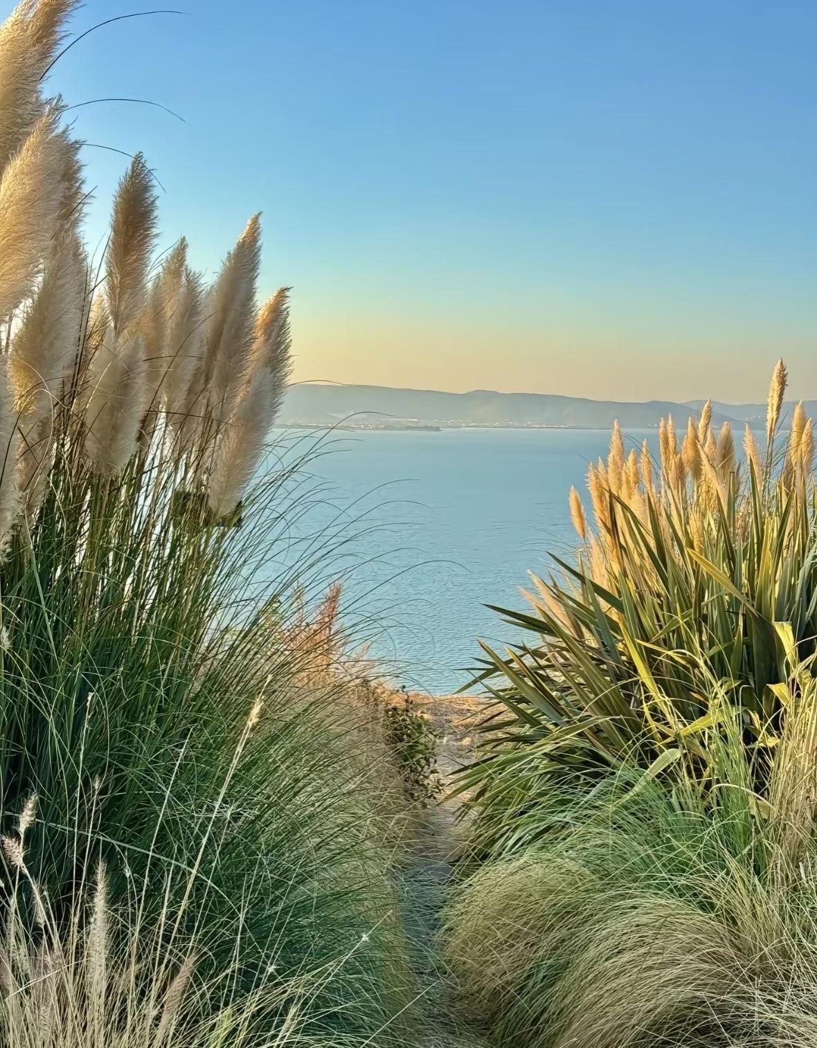 这海边的高草，真的很美～昆明大湾山日落徒步攻略，在城市边缘邂逅绝美晚霞🌄没
