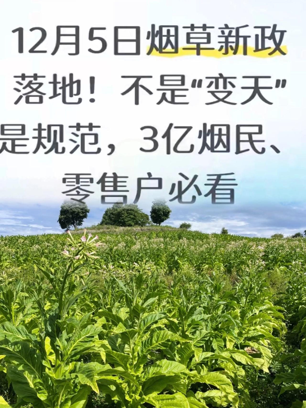 12月5日烟草新政落地！不是“变天”是规范3亿烟民、零售户必看