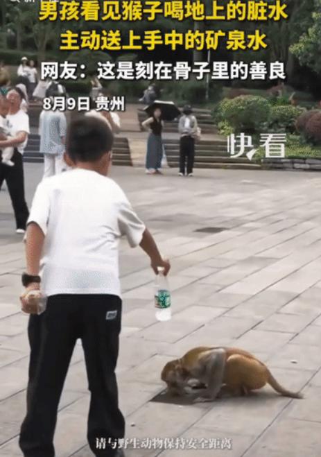 火上新华社！贵州景区的日常游玩画面，意外引爆全网。一只小猴子蹲在路边，低头舔喝着