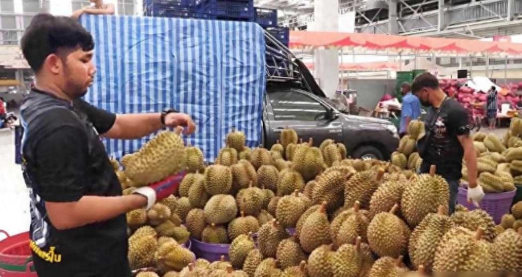 菲律宾5.4万吨榴莲出口梦碎？果农等中国买家却遭遇滞销，背后暴露农业出口的真正难