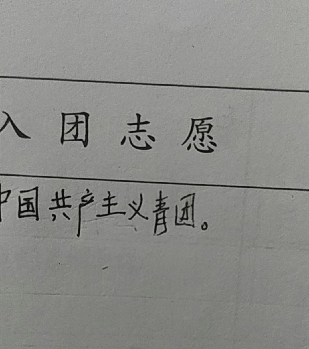 刷到一位网友写的入团志愿书，哈哈哈哈哈我感觉这孩子是写着写着写饿了吗？写成青团