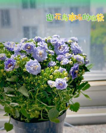 娃哈哈这事，说明大家脑子被短视频喂废了一听说私生子、小三，立马高潮。什么