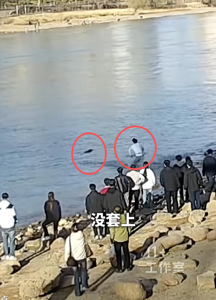 什么是品学兼优，这就是！近日，甘肃兰州，黄河边，一个女子落水，岸边的人拿着绳