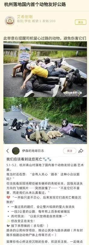 的确，某些人还是吃得太饱了。杭州落地国内首个动物友好公路。刚开始看到这句话，