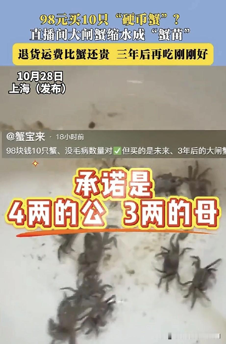 男子在网络直播间花98元网购了十只螃蟹,主播承诺,公蟹四两,母蟹三两。然而,收到