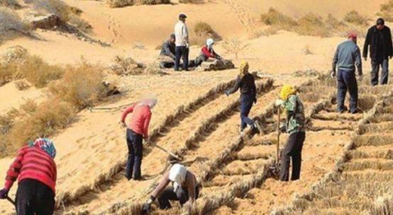 西方媒体：中国不可怕，可怕的是中国成为首个能消灭沙漠的国家！毛乌素沙漠，这片