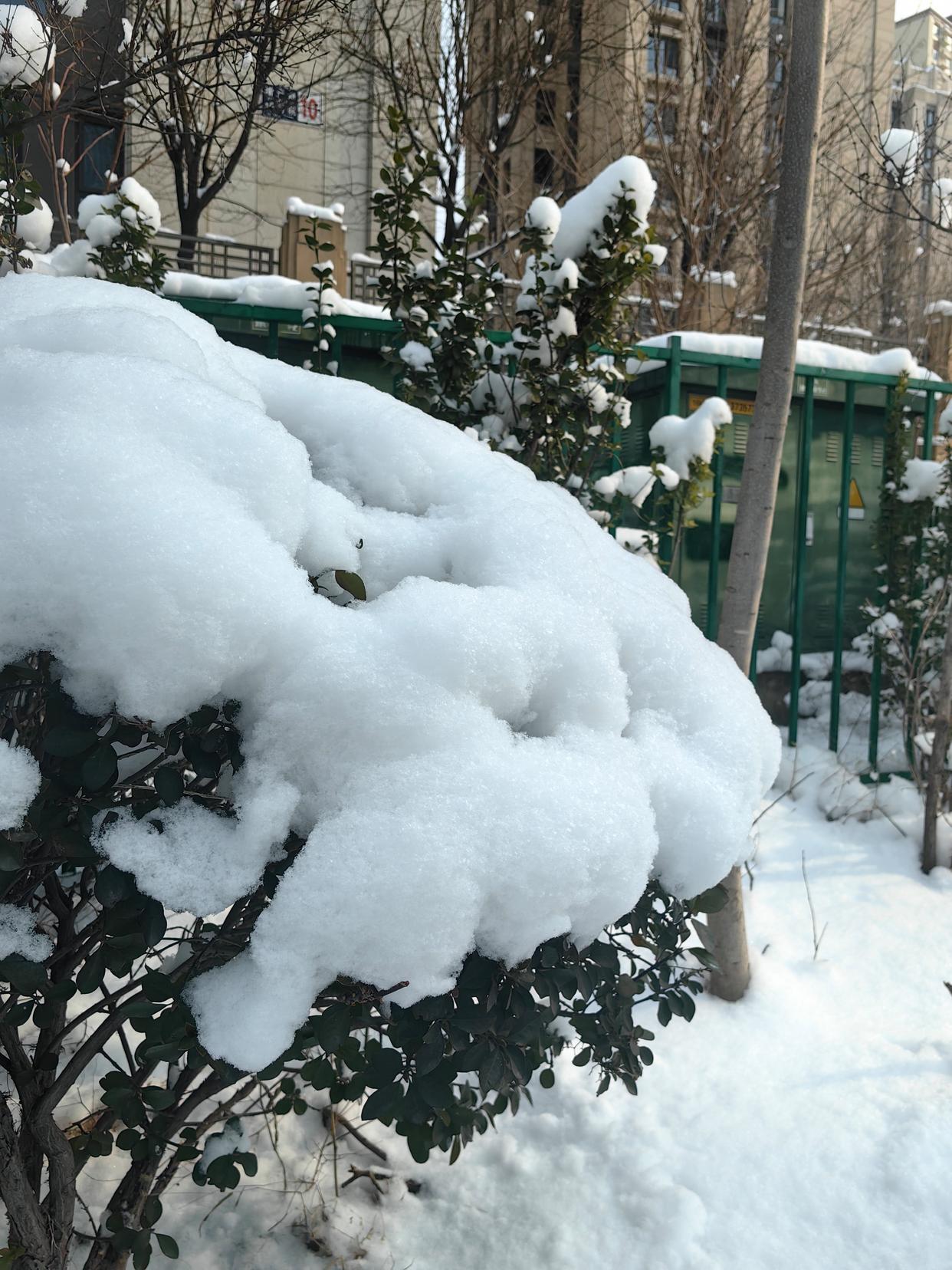 看到武汉街头的“冰板路”和河南树木的“冰铠甲”，我第一反应是：2008年的噩梦又