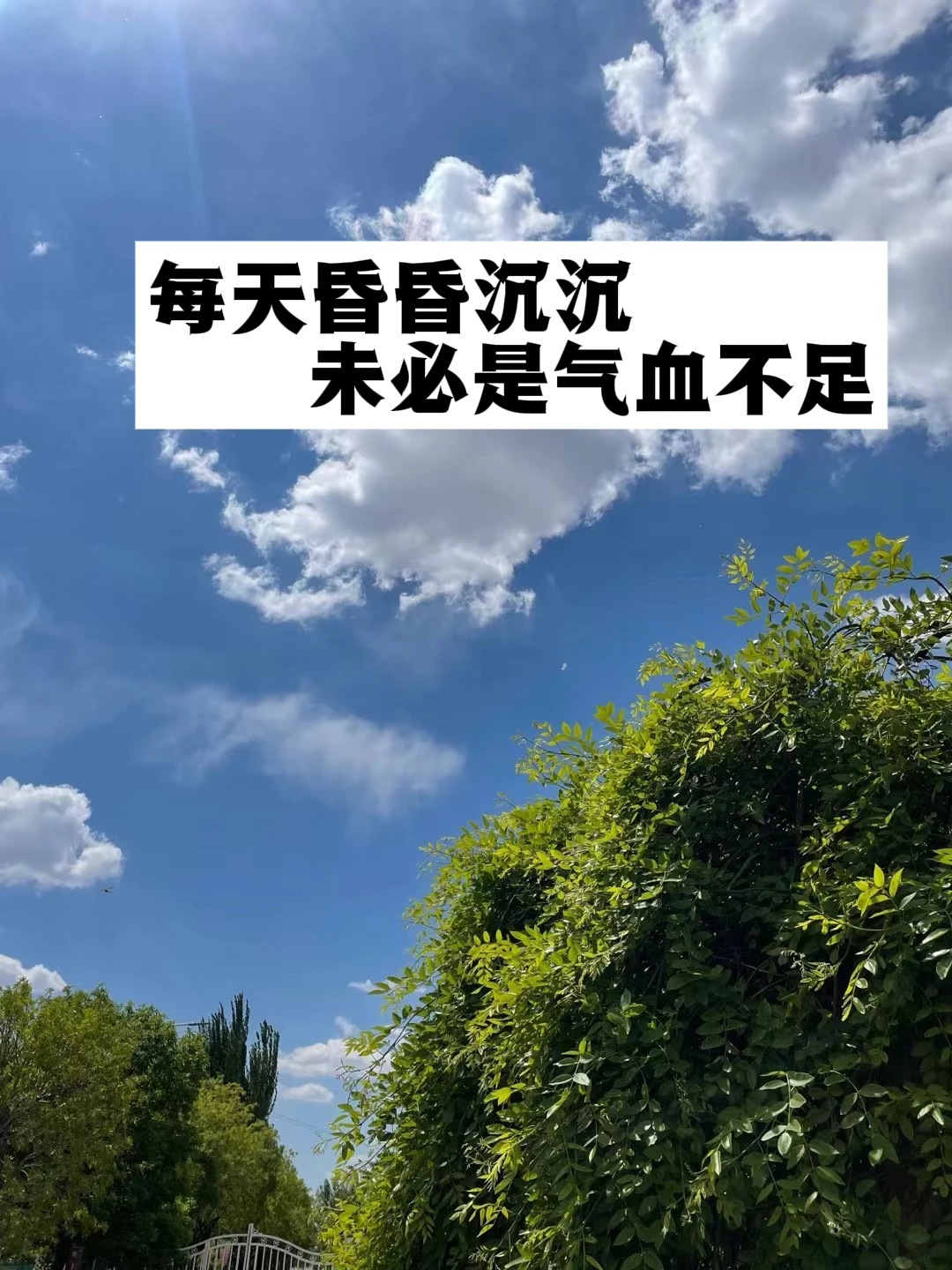 每天昏昏沉沉未必是气血不足.