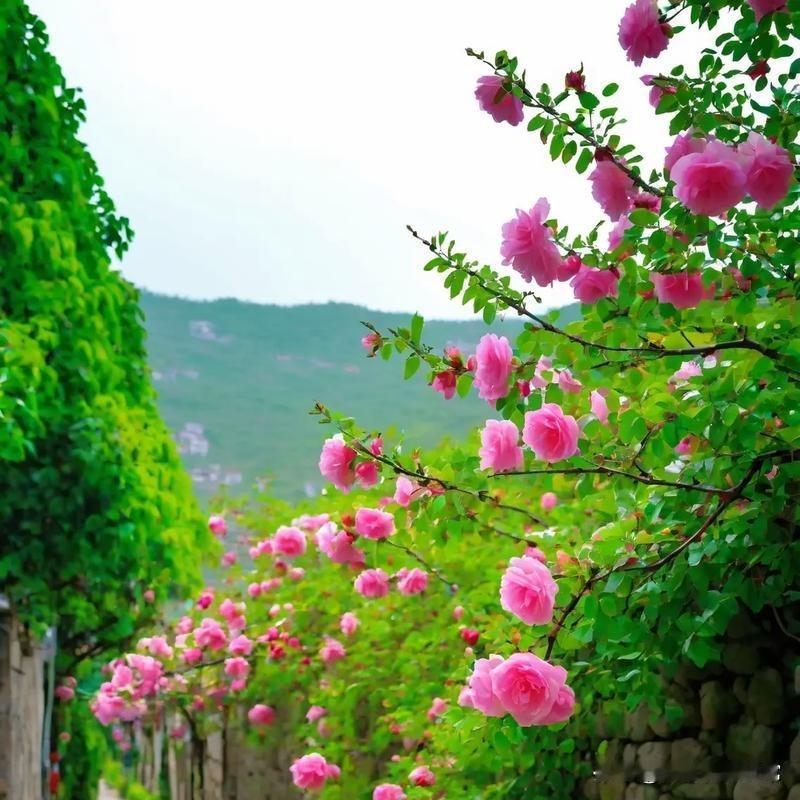 现在，我总算明白了一个道理，就是要想身体健康，就必须克制自己！1.坚决不能熬