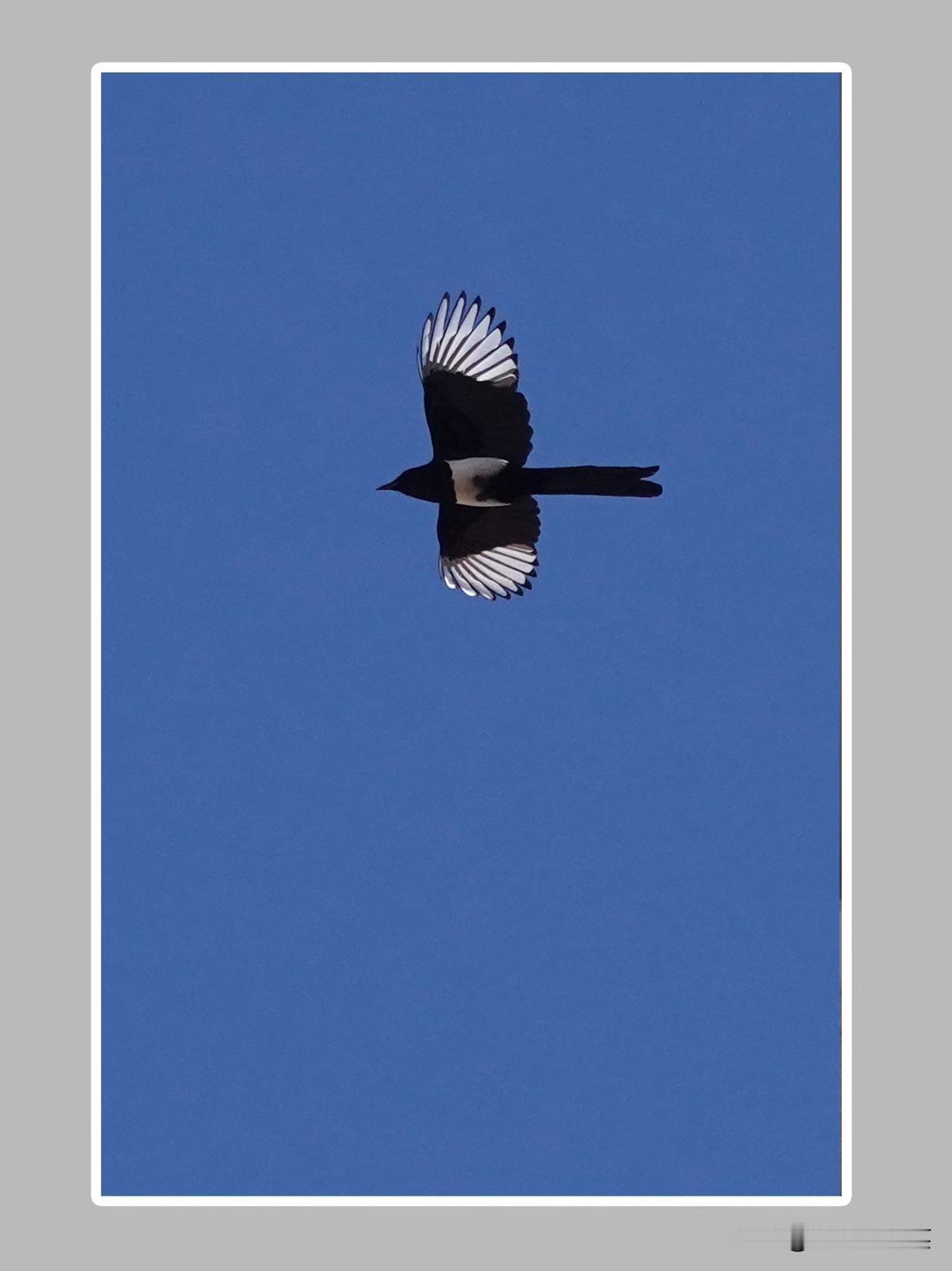 世界上最开心的两句话，解开无数人心结！老话说：人生有八苦：生，老，病，死，爱别