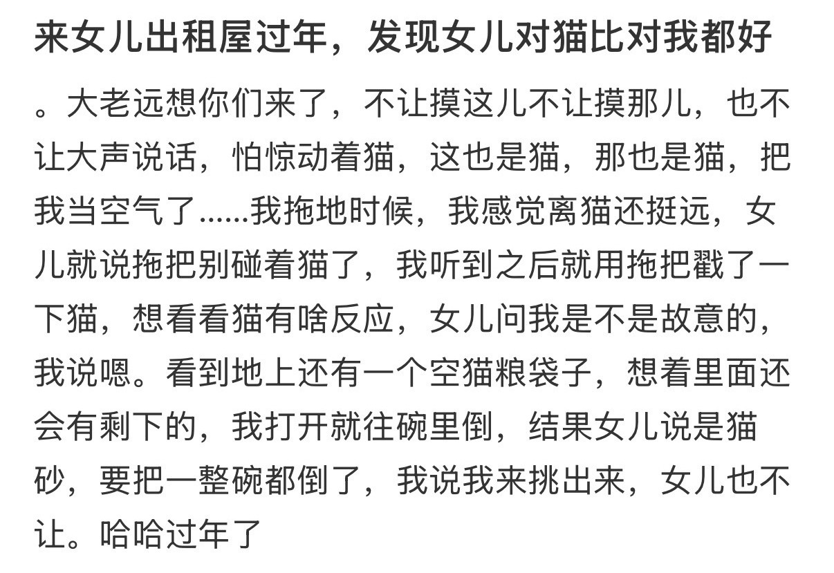 来女儿出租屋过年，发现女儿对猫比对我都好！！！