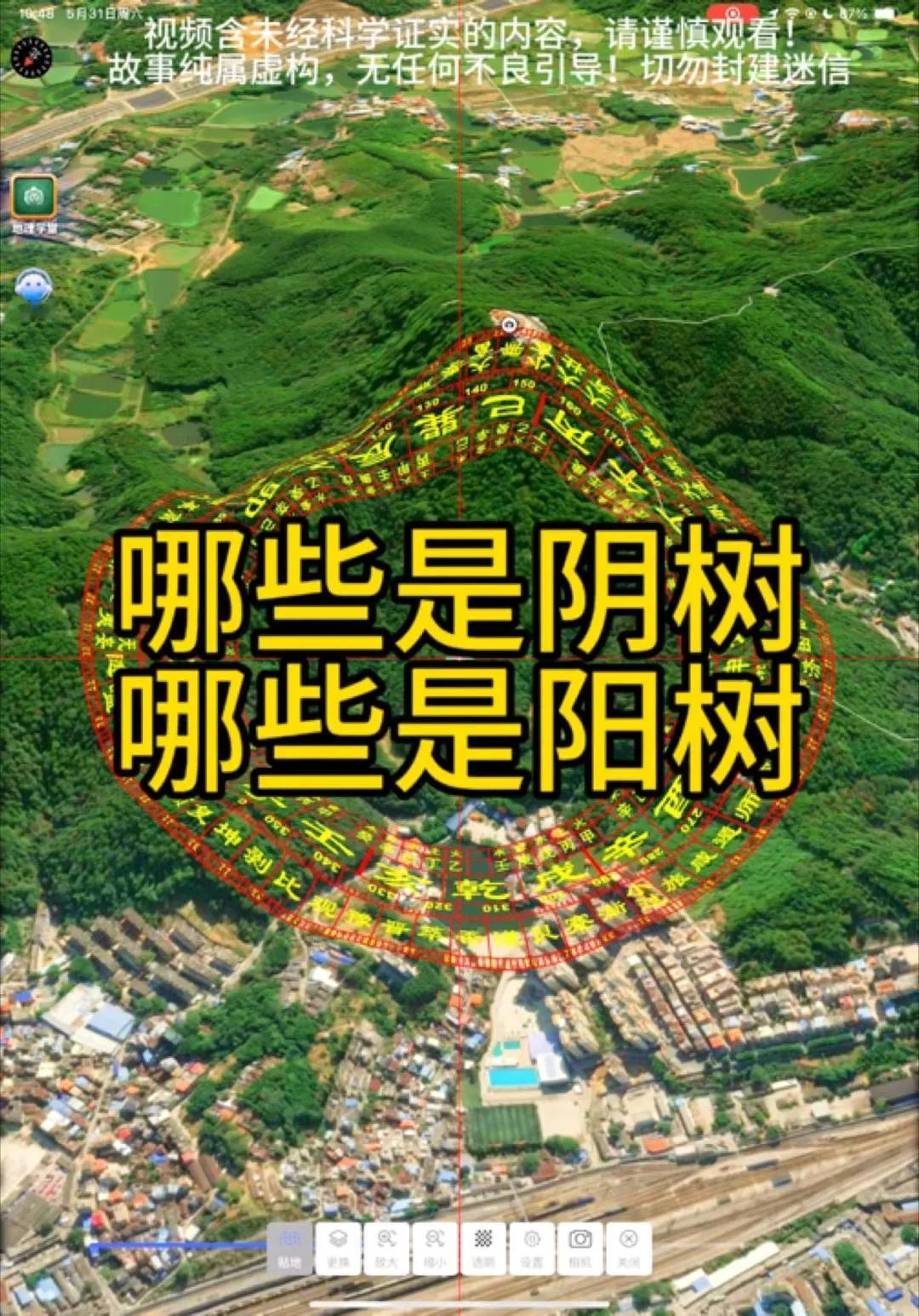 “阴树不进家门，阳树不进坟墓”，那么，哪些是“阴树”哪些是“阳树”呢？十大阴树