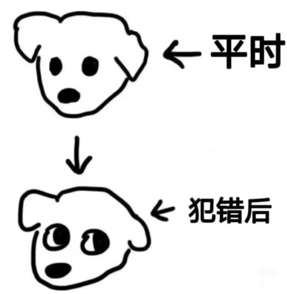 办公室里有狗啊！