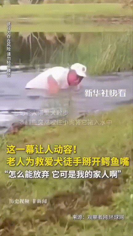 “令人动容！”七旬老人带着小狗散步，突然一条鳄鱼冲出一口咬住小狗拖住了水中，老人