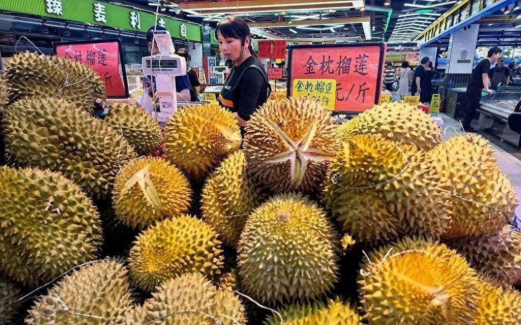 全球九成榴莲涌入我国市场，国内榴莲价格大幅跳水，无数东南亚果农因此陷入亏本滞销、