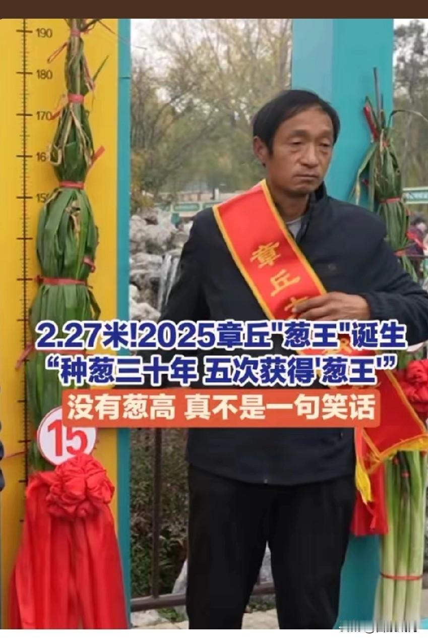 离谱！章丘葱王长到2.27米，比成年男子还高半头，这是成精了？2025章丘