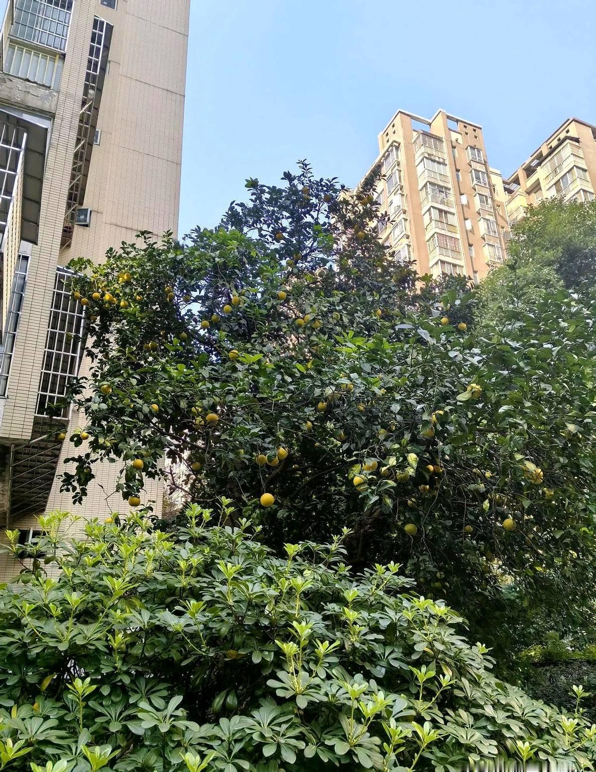 如今有些北方人还会把湖南人当“南蛮”吗？两天一个安徽的朋友无意中一句话，她90