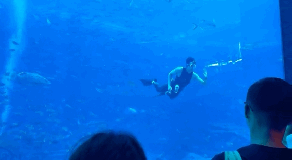 水族馆的男美人鱼竟然是吴磊吴磊这腿长我尖叫！身材比例太好了