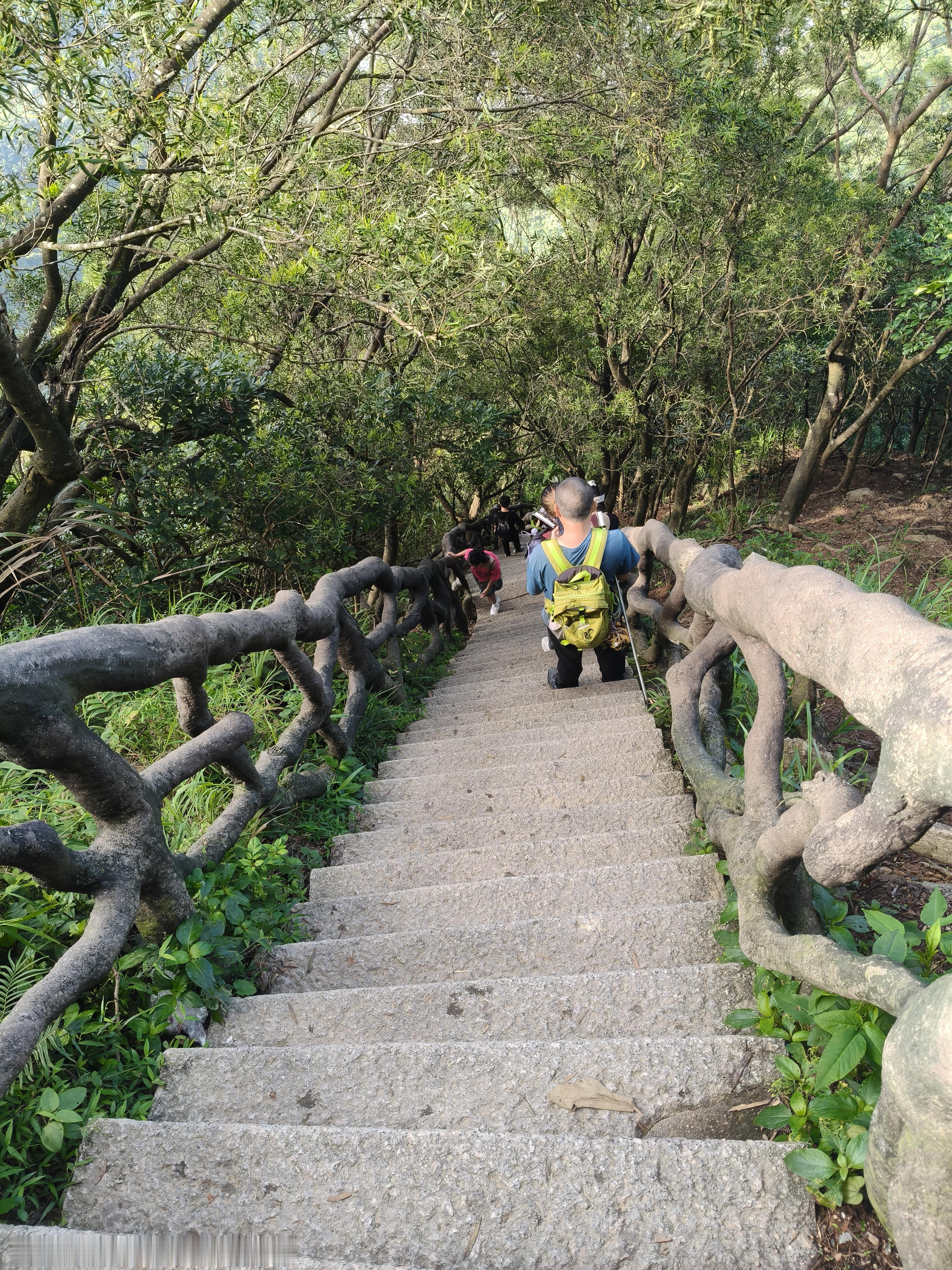 挑了个最快的路下山，没想到这么陡……深圳·梧桐山