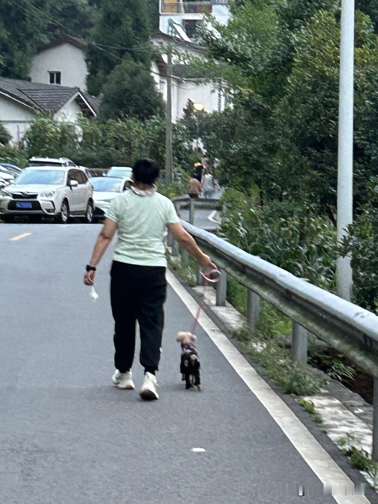 值得表扬的姑娘这只丢人的小狗狗不小心将大便拉在了人行道上了，姑娘蹲下了身子，