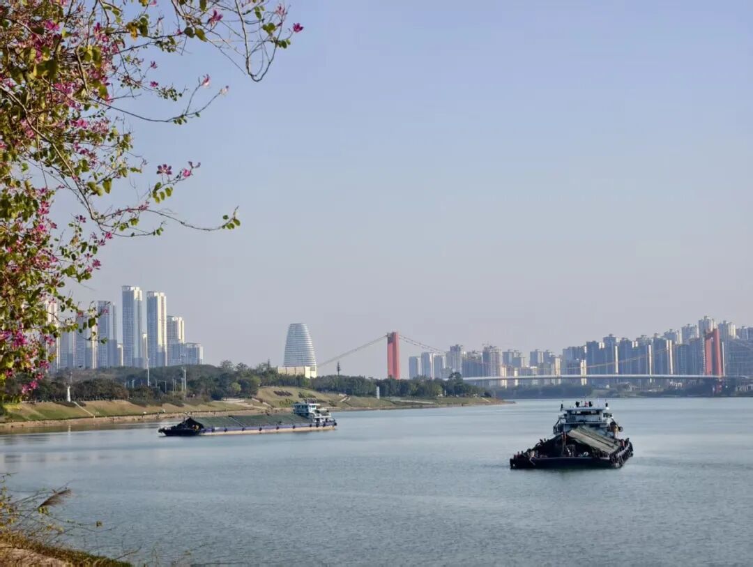 晒腊肉腊肠的, 赶紧冲啊! 广西晴天持续到……