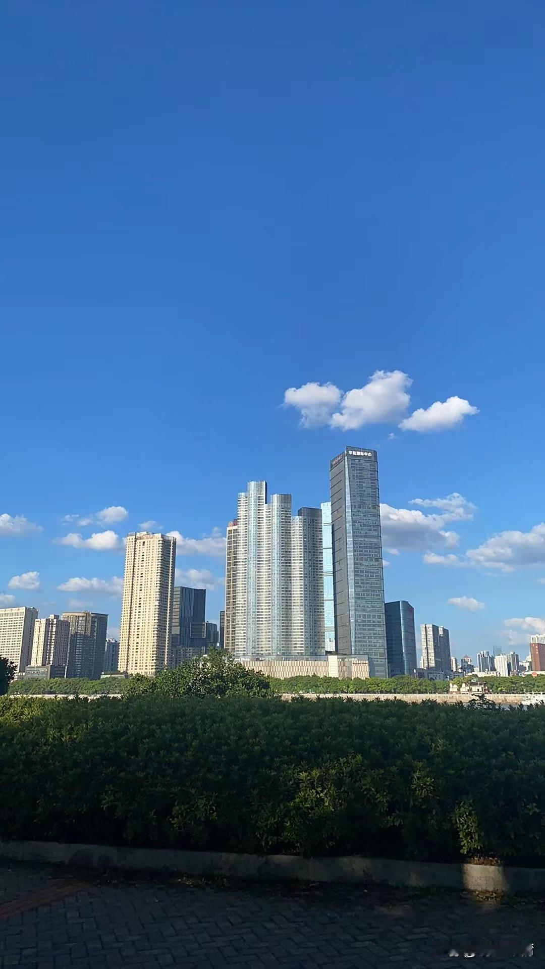 堂嫂说许敏住上大别墅，你们这些“小星星”有吗？任你们的善良妈妈割韭菜，在她
