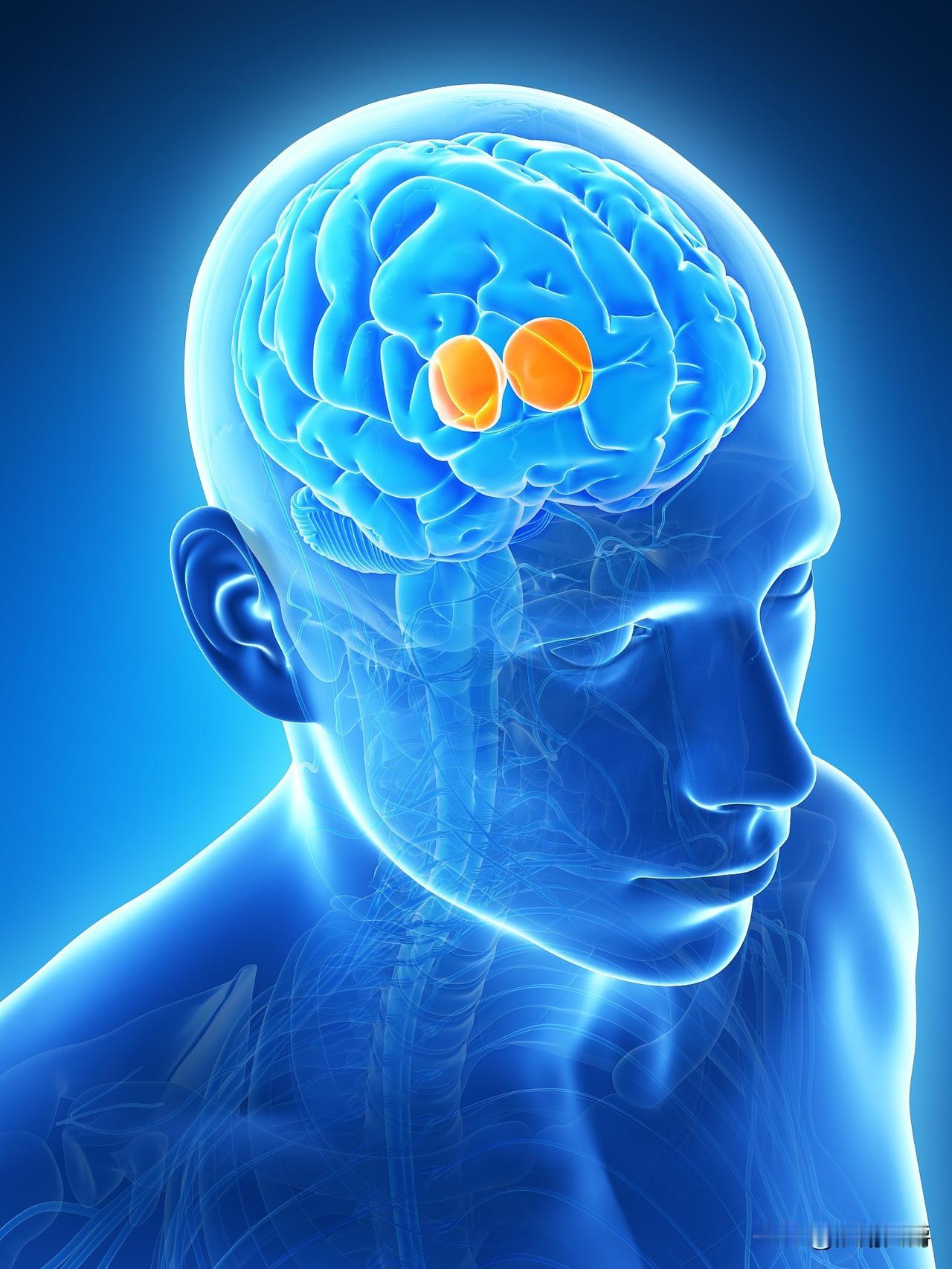 发现没有？精神病大多是女性，她们发病有一个共同点就是：害怕。不管是怕什么，反