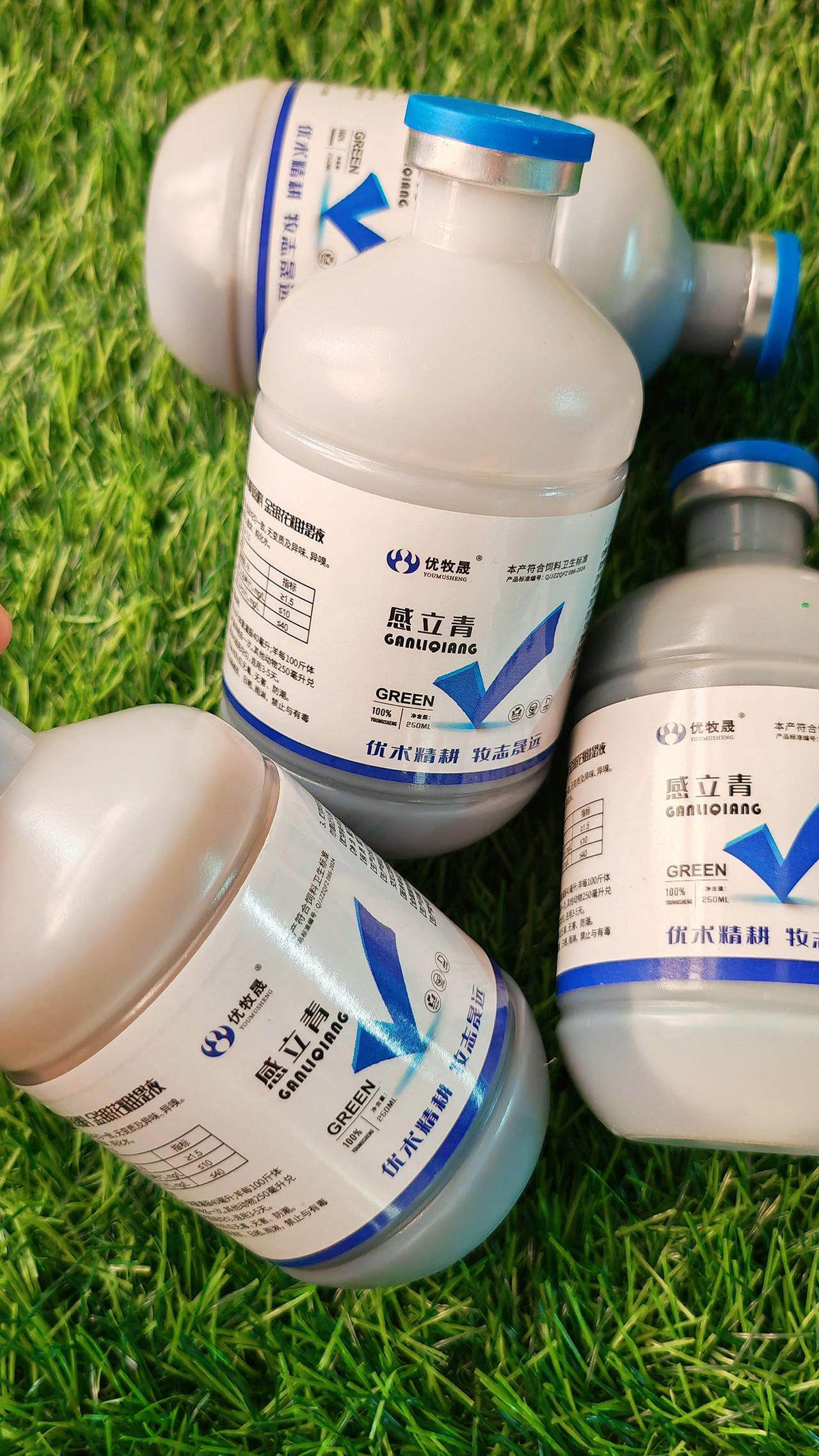 养羊人牛羊养殖农村养羊