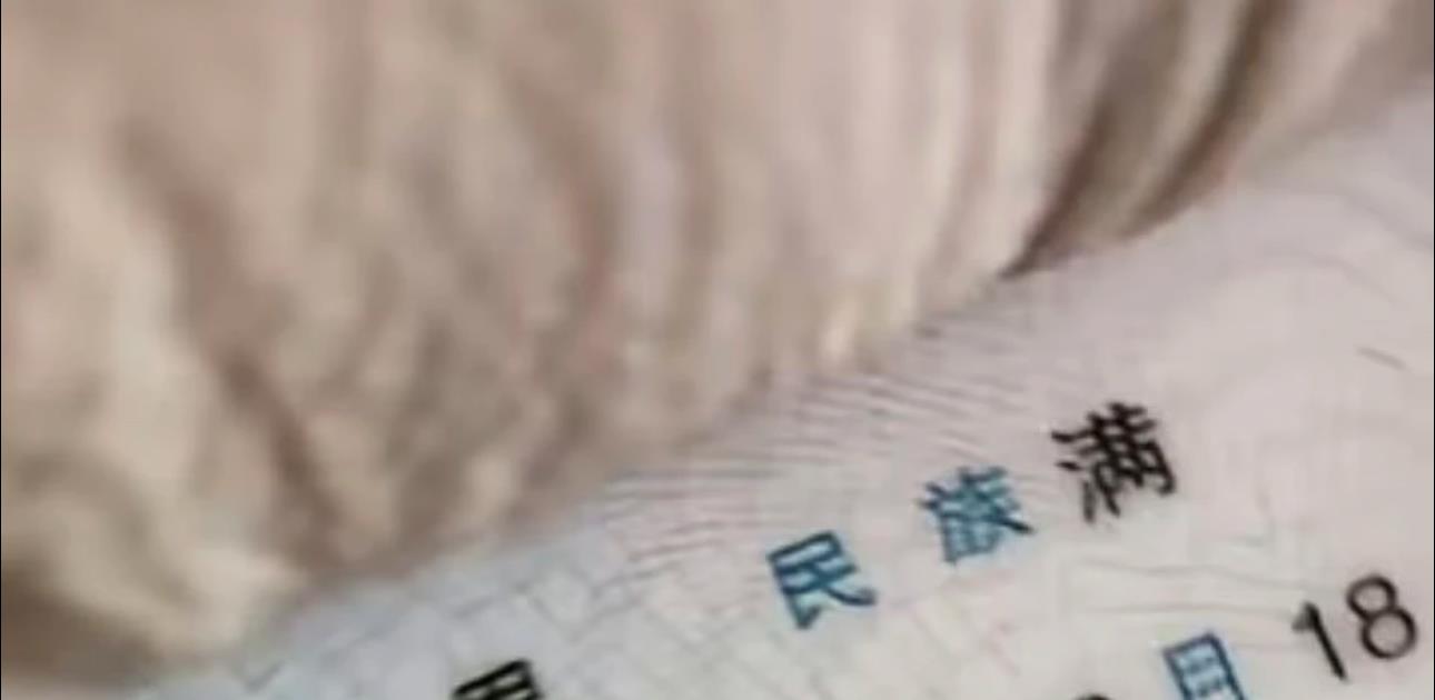 我这种身份，在清朝你们要喊我什么