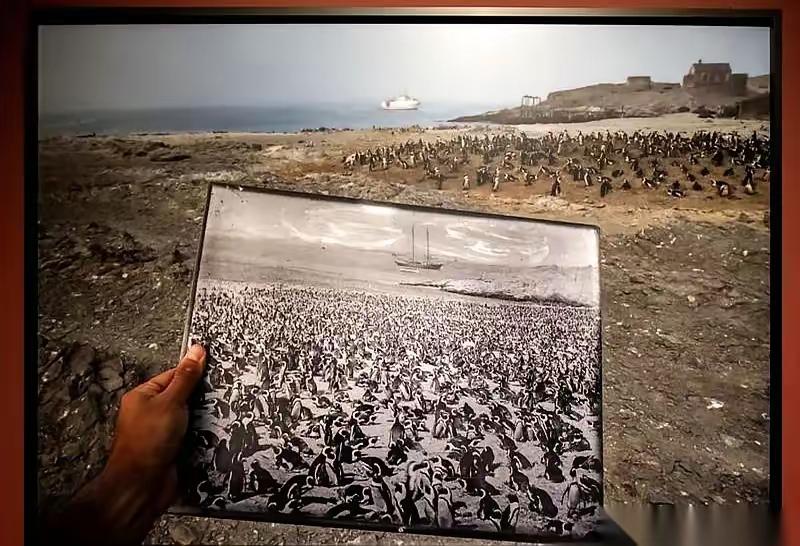 我一哥们儿在西藏服兵役，前阵子跟我聊起个真事儿，听得我心里直打鼓。当时对面那帮人