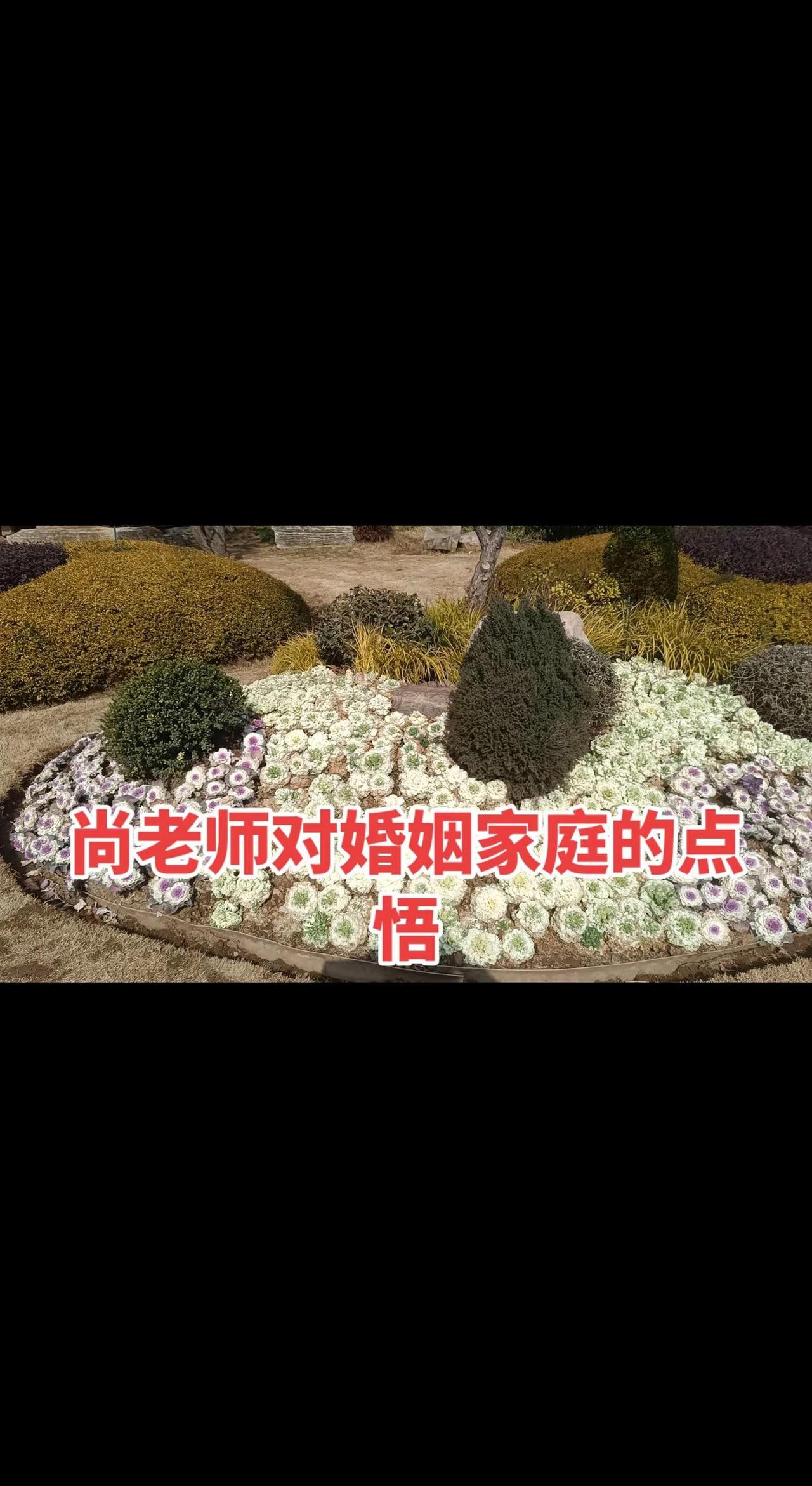 送给还没有找对象的女孩子们。婚姻一定要重视！重视！再重视！