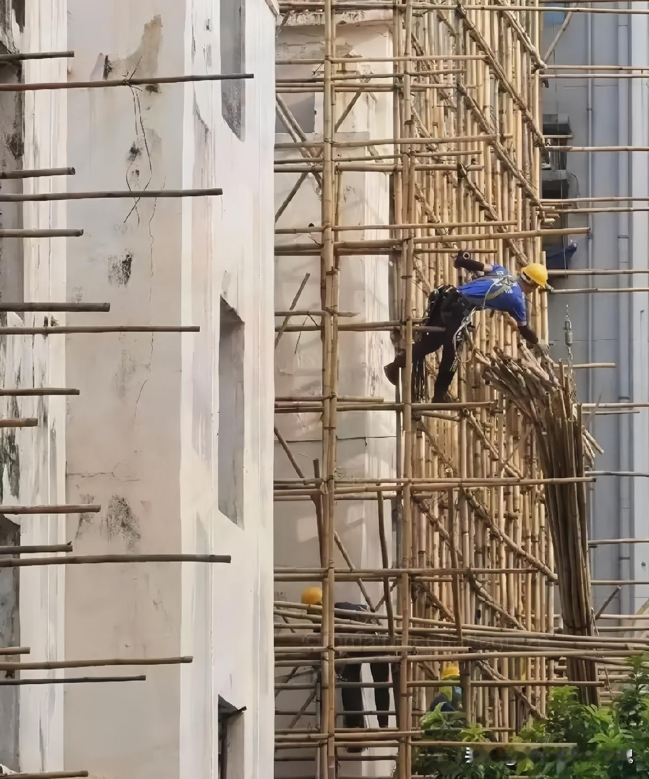 香港为啥还在用竹制脚手架？真正原因里，香港竹子协会确实起了关键作用，这竹子