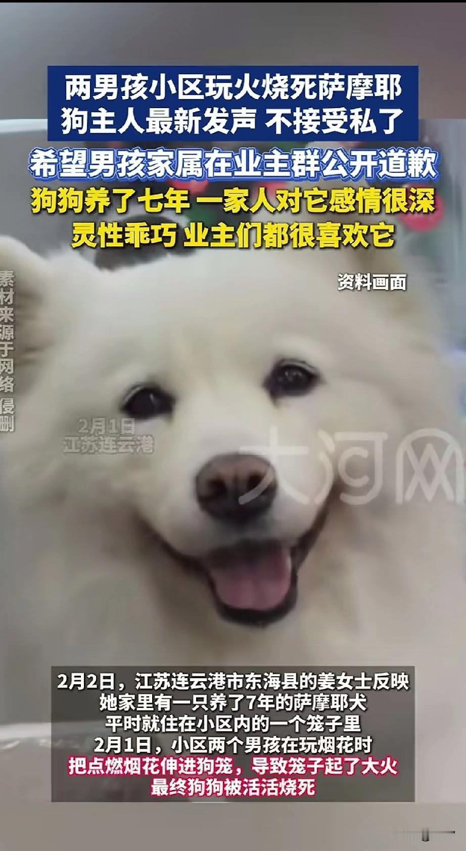 江苏连云港两个男孩在小区玩烟花，居然将点燃的烟花扔进了小区的狗笼里，里面住着一只