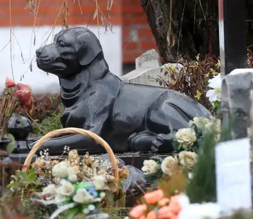清明拜祭宠物面对死亡的姿态，众生千差万别。现在越来越多的人，不结婚不生孩子，