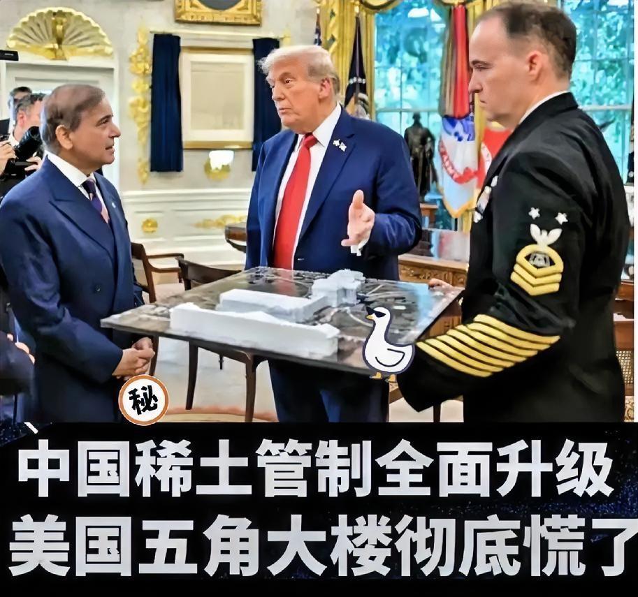 惊爆就在刚刚​巴基斯坦肠子都悔青了刚拿美国5亿稀土投资，中国技术管制新规直