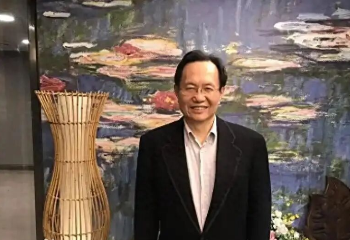 【又一人宣布参选国民党主席：当选后将努力维护两岸和平】国民党主席选举参选者众