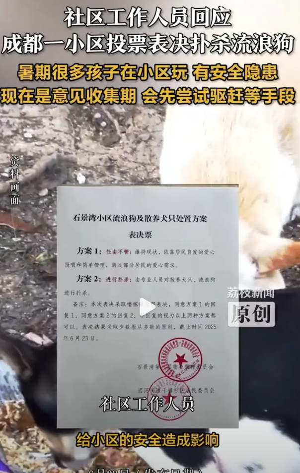 【流浪狗太多威胁孩子安全？成都某小区表决“扑杀”方案】近日，四川成都，某小区