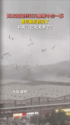 网友拍摄到狂风暴雨中的一幕，看到最后惊呆了，网友：它犯天条了?
