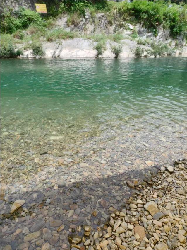 夏日纳凉好去处巴拉河边坐一坐，吃上乡间小烤肉和烤的嫩包谷，那就是儿时的味道，无