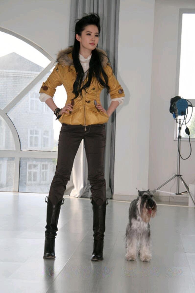 刘亦菲早期和狗狗的一组合影
