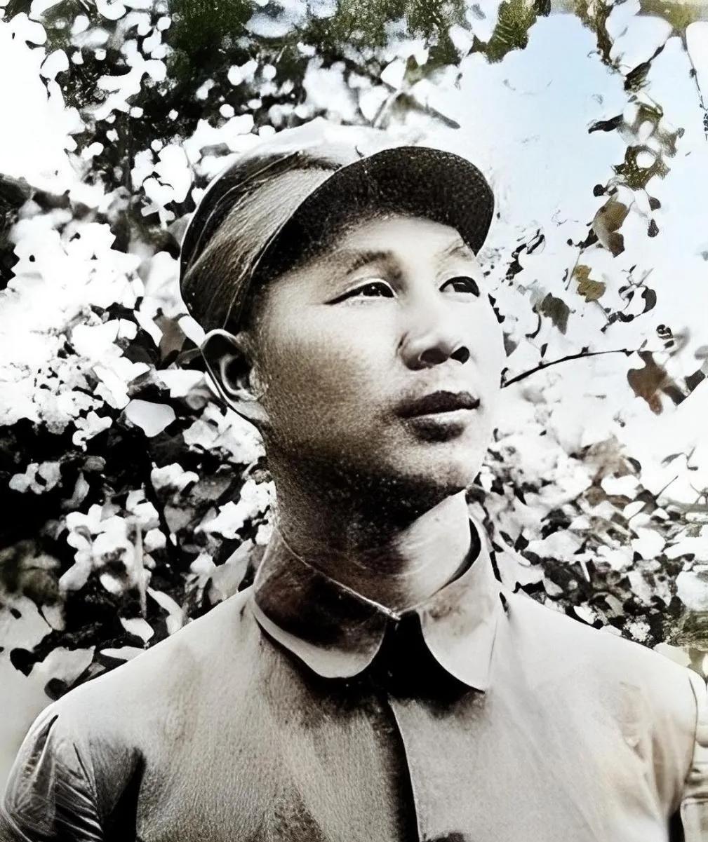 1937年，杨成武请地主吃饭，随后要他们捐款抗日。一向抠门的地主王蒲伸出五根手指