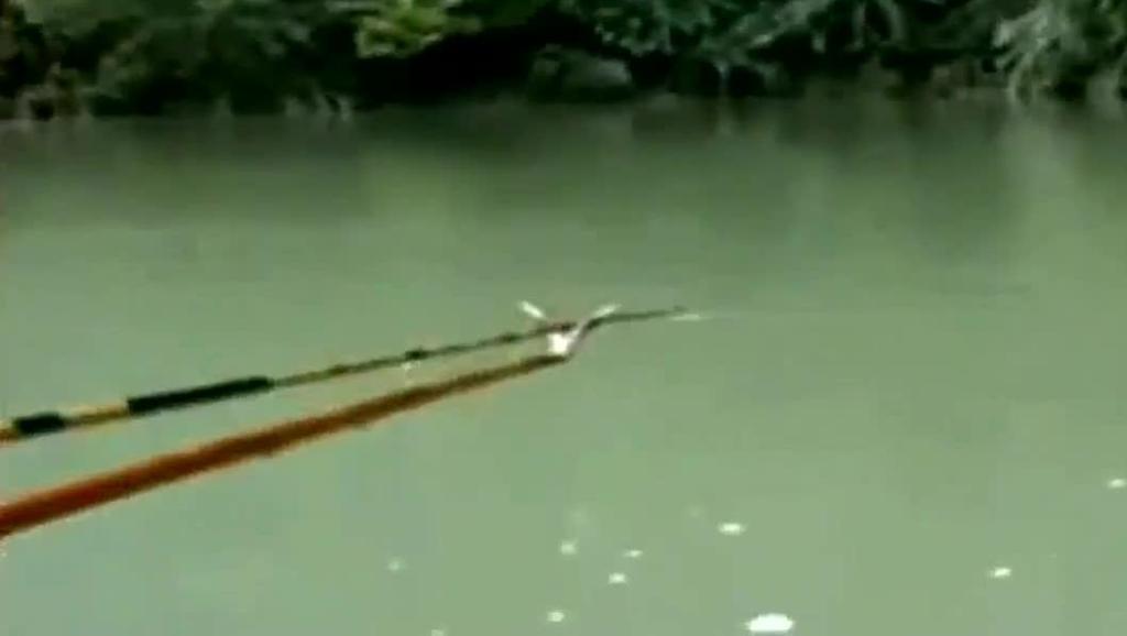 钓鱼的视频 www.tudou.com