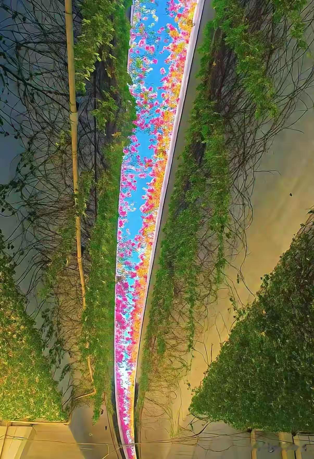 马伟明院士这脑洞绝了：西藏装2公里大弹弓，直接把卫星弹上天！是真的，前不久，咱