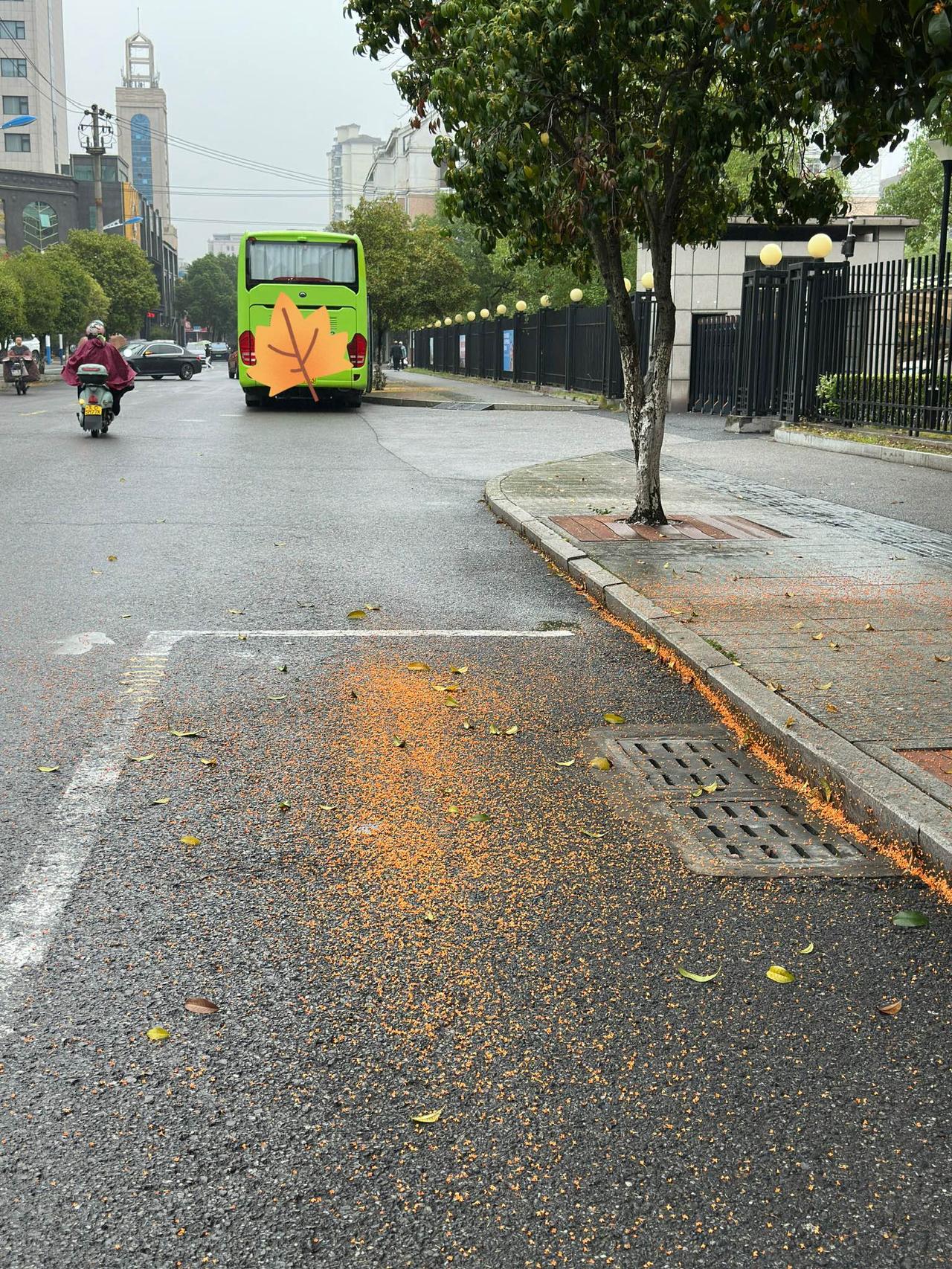 为了今天能早起，昨晚10:30就上床睡觉了。今天早晨睡醒，开始的时候恍恍惚惚
