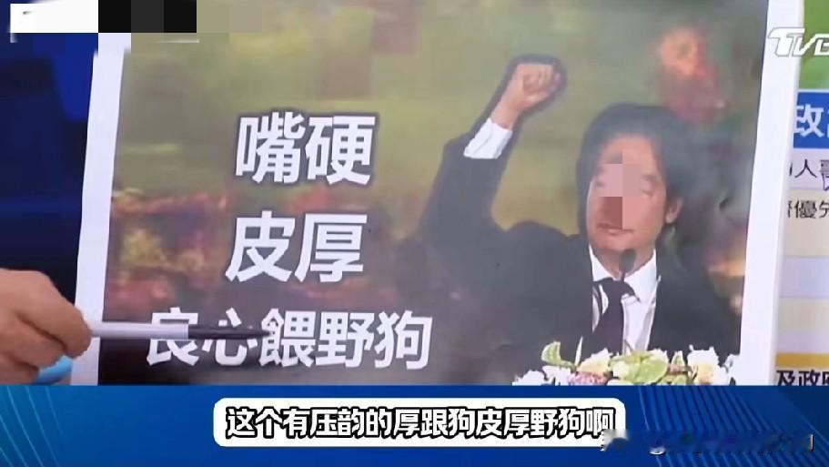 沈富雄骂赖赖“嘴硬，皮厚，良心喂野狗”，高佳瑜却说“不允许你这样骂赖哥哥”。