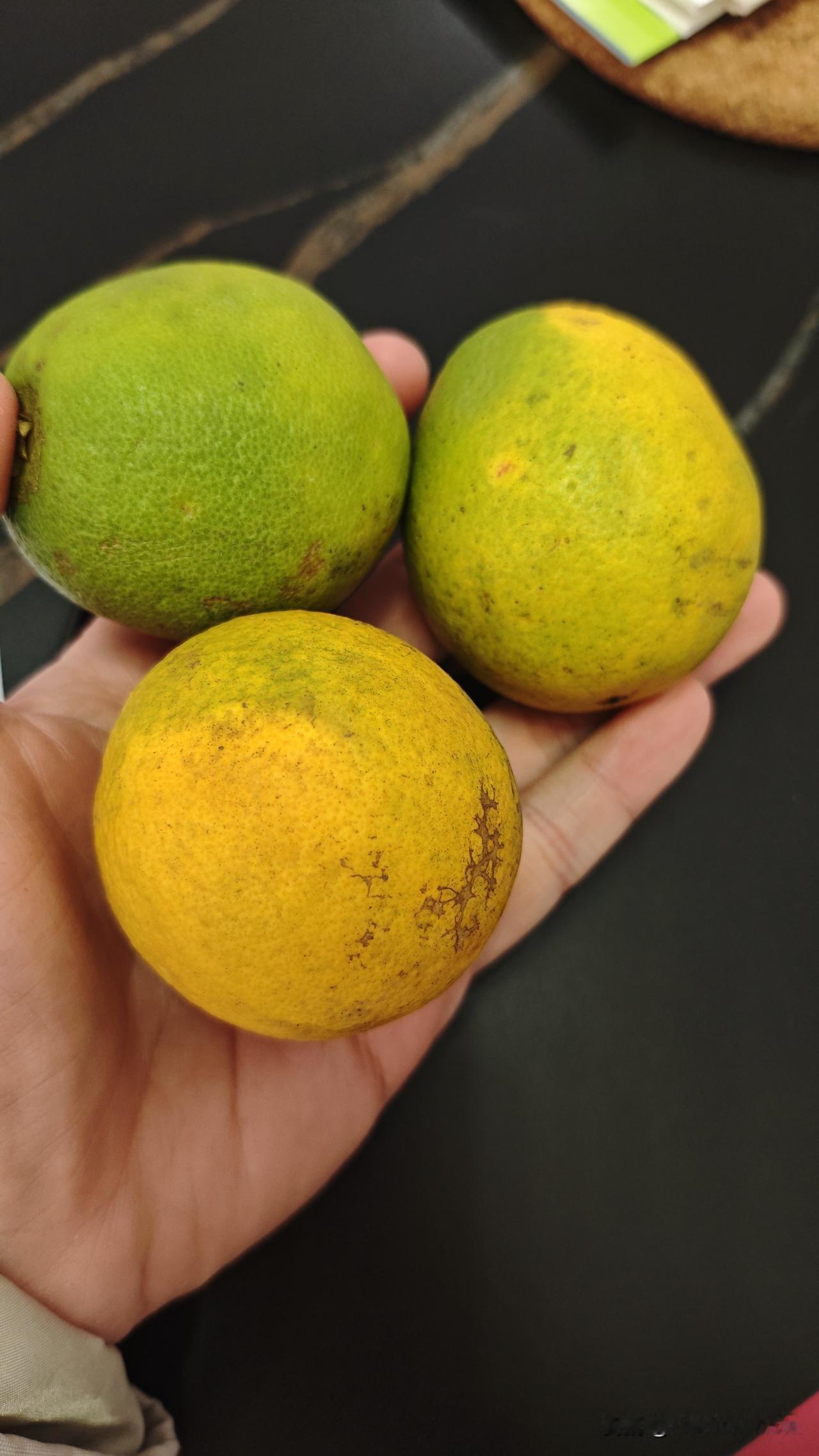 难怪今年冰糖橙如此糟糕，又酸又小还绿色的。原来源头就在坑人这不是典型杀鸡取